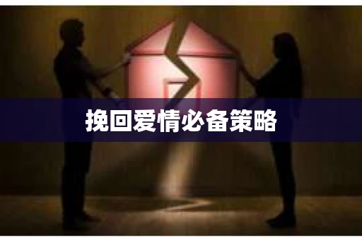 挽回爱情必备策略
