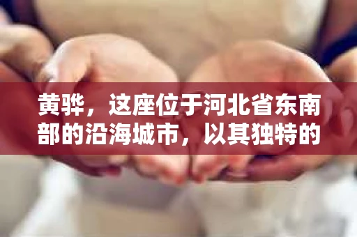 黄骅，这座位于河北省东南部的沿海城市，以其独特的地理位置和丰富的历史文化而闻名。然而，在这座城市中，还有一群人，他们以另一种方式默默守护着社会的公平与正义——私家侦探。今天，我们就来聊聊黄骅的私家侦探，看看他们是如何在这个城市中发挥作用的。