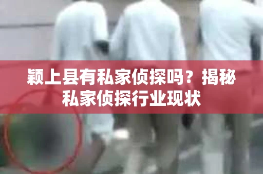 颖上县有私家侦探吗？揭秘私家侦探行业现状