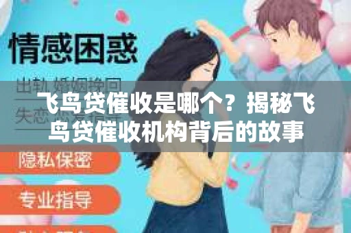 飞鸟贷催收是哪个？揭秘飞鸟贷催收机构背后的故事