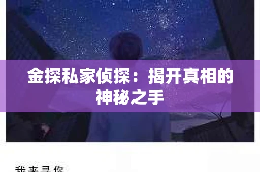 金探私家侦探:揭开真相的神秘之手 金探私家侦探:揭开真相的神秘之手