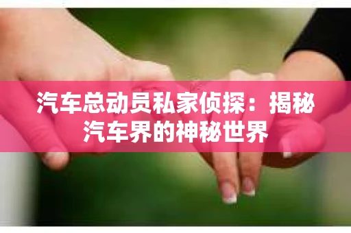 汽车总动员私家侦探：揭秘汽车界的神秘世界
