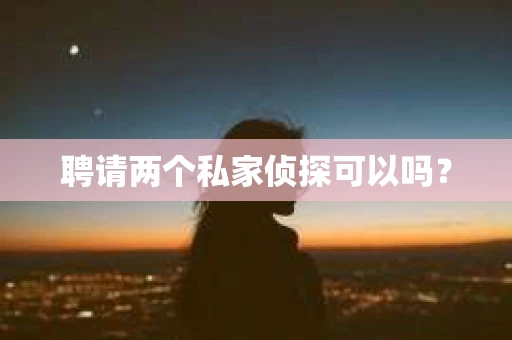 聘请两个私家侦探可以吗? 聘请两个私家侦探可以吗?