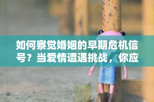 如何察觉婚姻的早期危机信号？当爱情遭遇挑战，你应该怎么办？