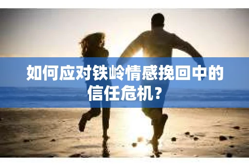 如何应对铁岭情感挽回中的信任危机？