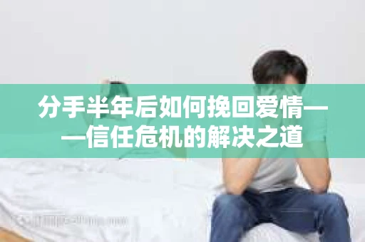 分手半年后如何挽回爱情——信任危机的解决之道